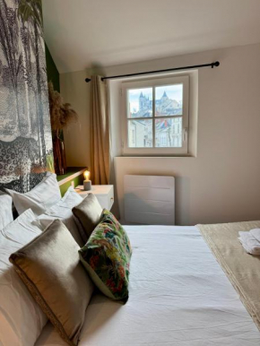 Appartement Le Voltaire centre ville climatisé